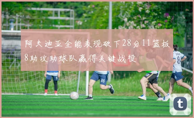 阿夫迪亚全能表现砍下28分11篮板8助攻助球队赢得关键战役