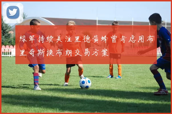 绿军持续关注里德黄蜂曾考虑用布里奇斯换布朗交易方案