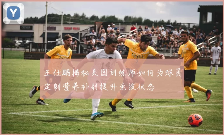 王仕鹏揭秘美国训练师如何为球员定制营养补剂提升竞技状态